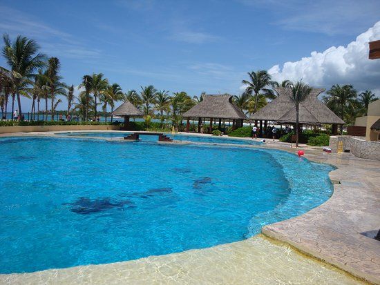 Dolphin Discovery Riviera Maya